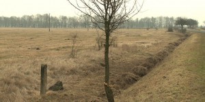 vizgazdalkodasnagy-300x150